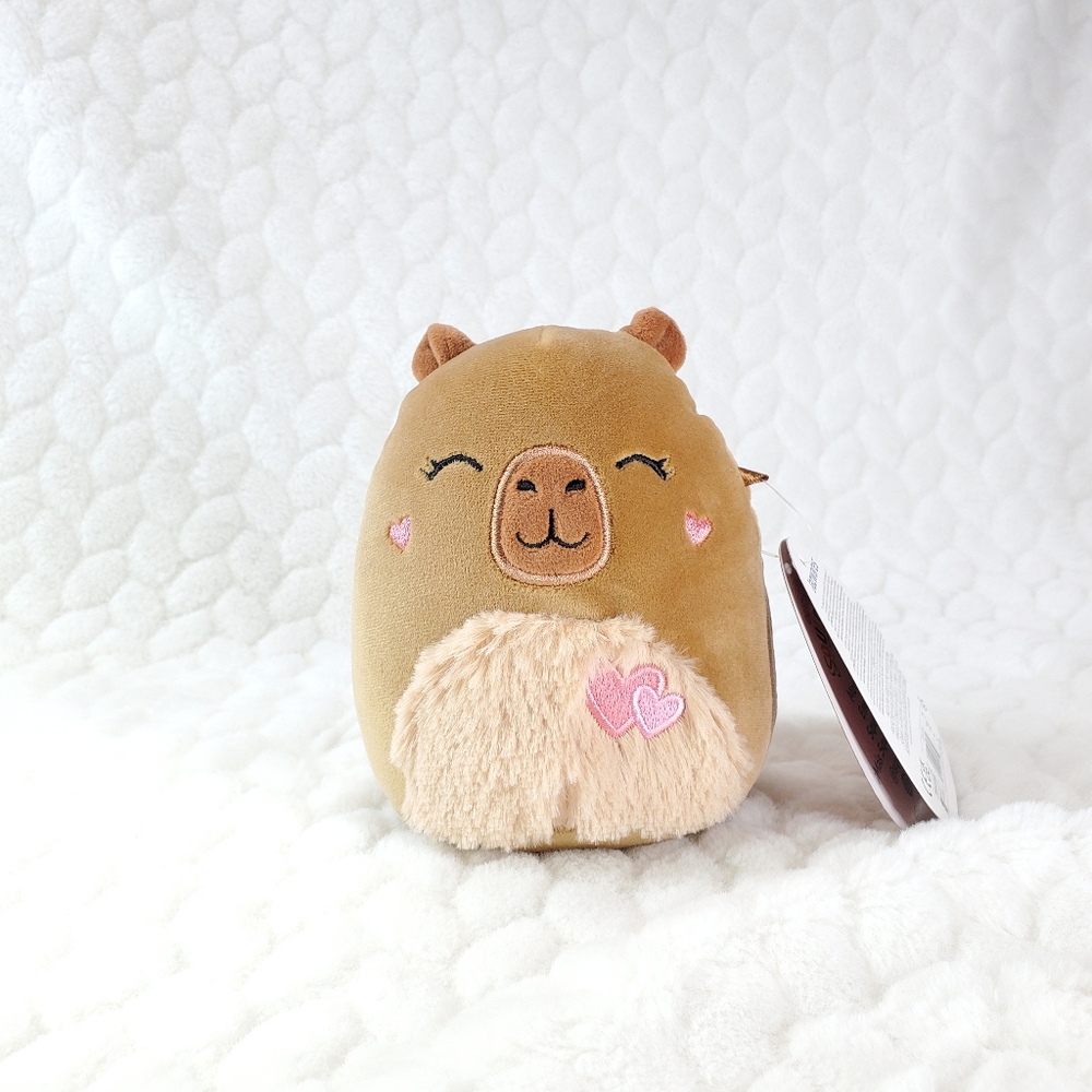 Lijjian Valentines Day 2025 Squishmallows 5 Inch BNWT Capybara with Heart Plush